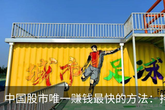 中国股市唯一赚钱最快的方法：持有一只股，保留50%仓位，长期做T